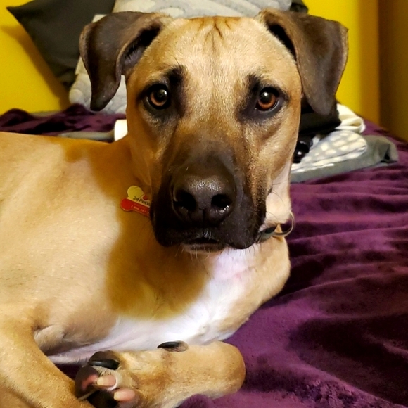 CLOSET CLOSING!!!  MAKE YOUR BUNDLES & SEND OFFERS!! PLEASE READ BELOW NOTICE 😔 - Picture 3 of 4